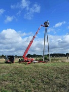 Storch-Herbstputz2018